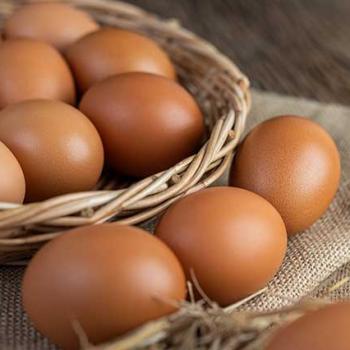 LES OEUFS